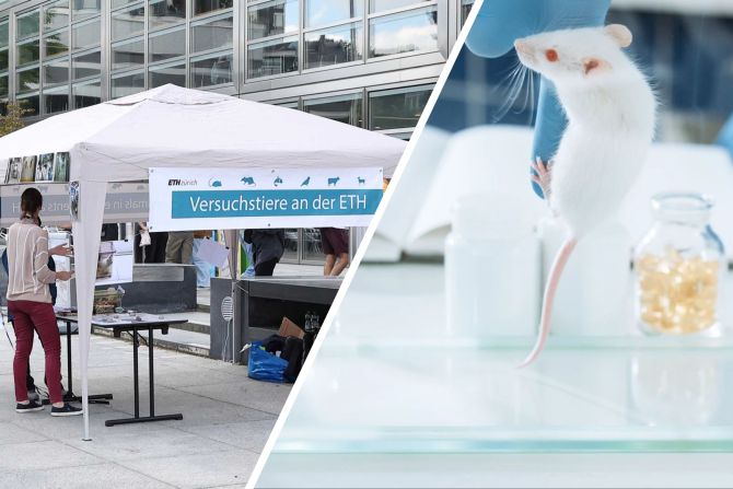 Tierversuche ETH Zürich