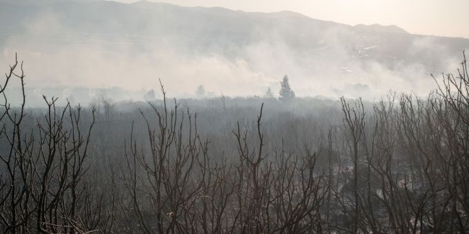 Nach Angaben des Landwirtschaftsministers seien vier Flugzeuge und 14 Hubschrauber zur Brandbekämpfung im Einsatz. Türkei Brände