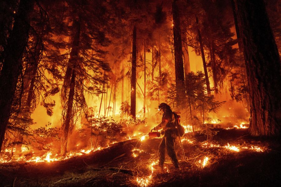 Feuerwehrmann im brennenden Wald