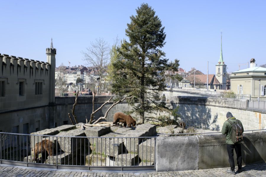 Bärengraben Bern