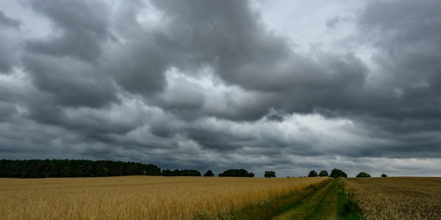 Gewitterfront