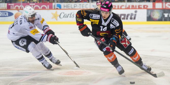 SC Bern