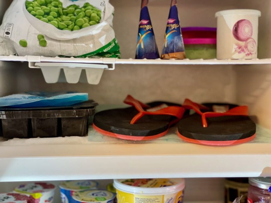 Flip-Flops