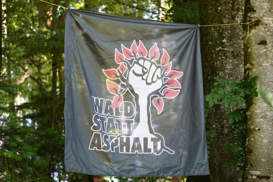 «Wald statt Asphalt», fordern die Besetzer.