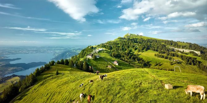 Rigi