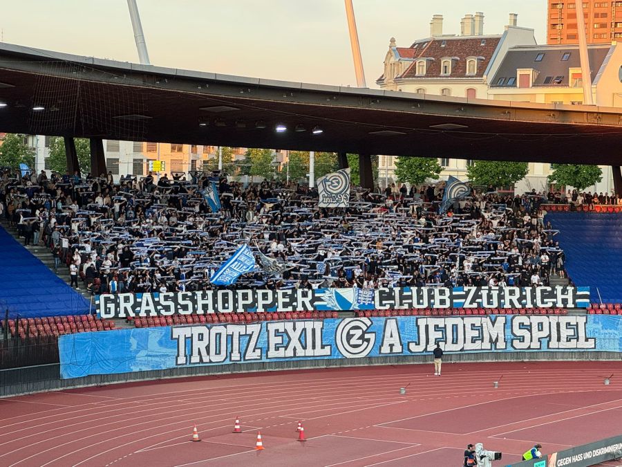 Die Fans von GC beim Spiel gegen Yverdon.