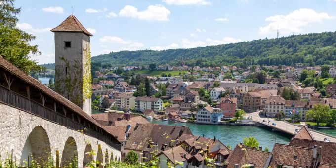 Aussicht über Schaffhausen: Weinreben beim Munot. Aussicht über Schaffhausen: Weinreben beim Munot.