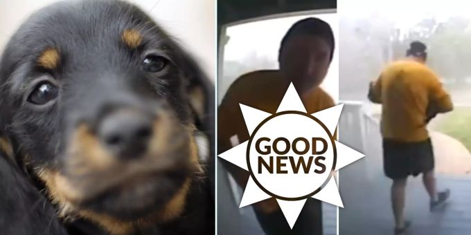 Good News - Jogger sieht brennendes Haus – und rettet Dackeln das Leben