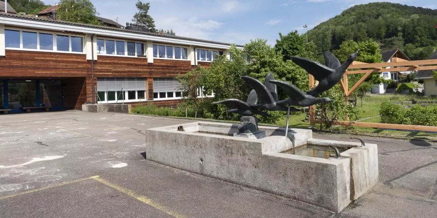 Brunnen mit Eisenplastik in Tenniken.