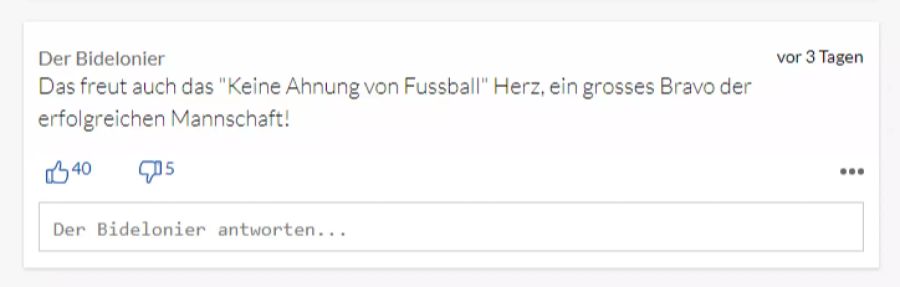 Auch nicht Fussball-Begeisterte freuen sich über den Triumph.