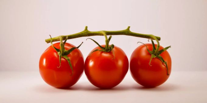 Bio bedeutet noch nicht nachhaltig. Strauchtomaten