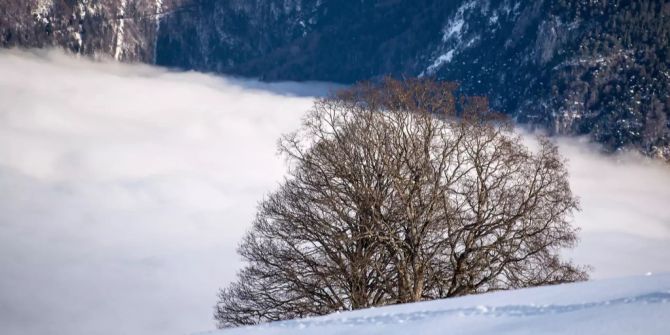 schneeschmelze jahresende meteo