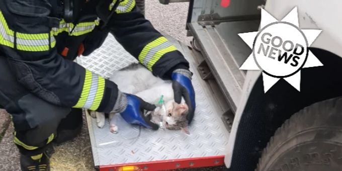 Mit Sauerstoffmaske - Feuerwehrmann reanimiert Katzen nach Hausbrand