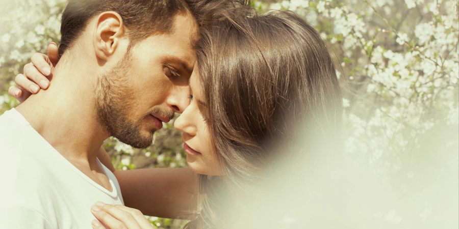 Beim Sex sind unsere Bedürfnisse unterschiedlich. Manche mögen es kinky, andere schätzen schlicht das Gefühl, geliebt zu werden.