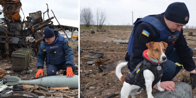 Der Bombenspürhund Patron leistet Heldentaten in der Ukraine. Good News