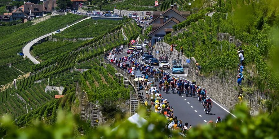 Eine grosse Menschenmenge kam, um die Velofahrer vorbeifahren zu sehen, wie hier in der Region Lavaux am Genfersee.