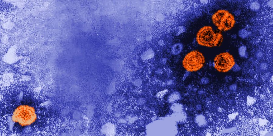 Britische Forscher glauben nun, so die mysteriösen Hepatitis-Fälle zu erklären.