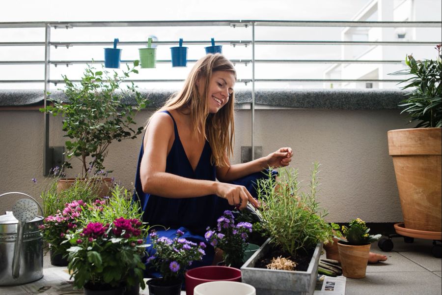 Frau Balkon Blumen Pflanzen Gärntern