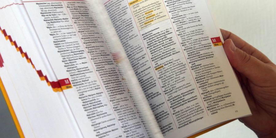 Nicht ohne meinen Duden? Um internationalen Fachkräften den Einstieg zu erleichtern, plädiert die FDP dafür, Englisch als zweite Verwaltungssprache einzuführen.