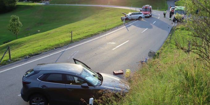 Brülisau AI: Alkoholisierter Lenker nach Unfall im Spital. Brülisau AI