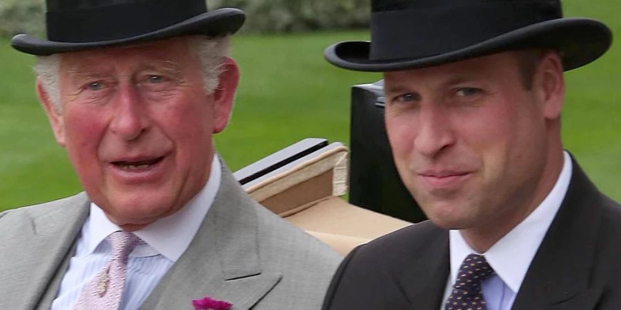 Prinz Charles und Prinz William haben viele gemeinsame Auftritte.