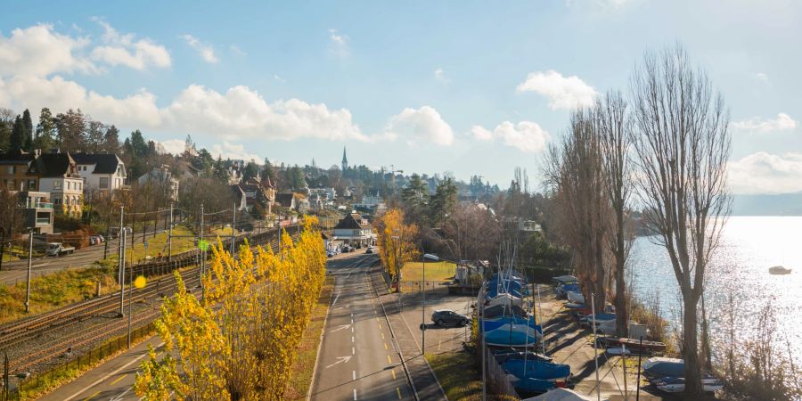 Blick auf die Gemeinde Zollikon am Zürichseeufer.