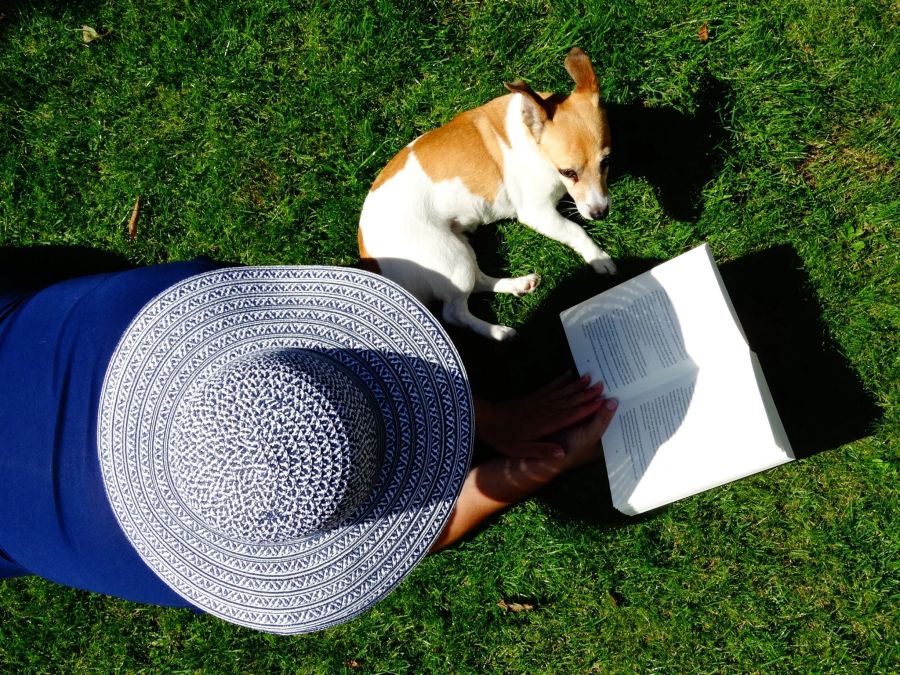 Sonnenhut Hund Buch Gras Mensch lesen Sommer