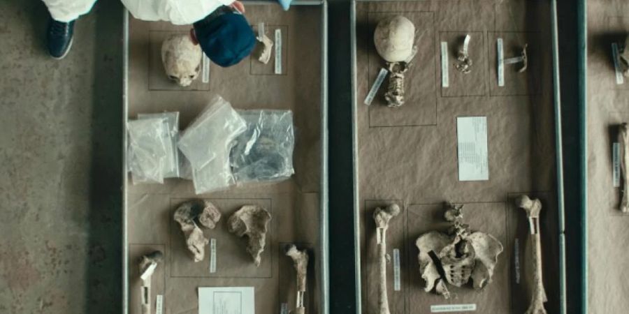 Der Film «The DNA of Dignity» zeigt die Arbeit von Forensikern der Internationalen Kommission für vermisste Personen (ICMP).