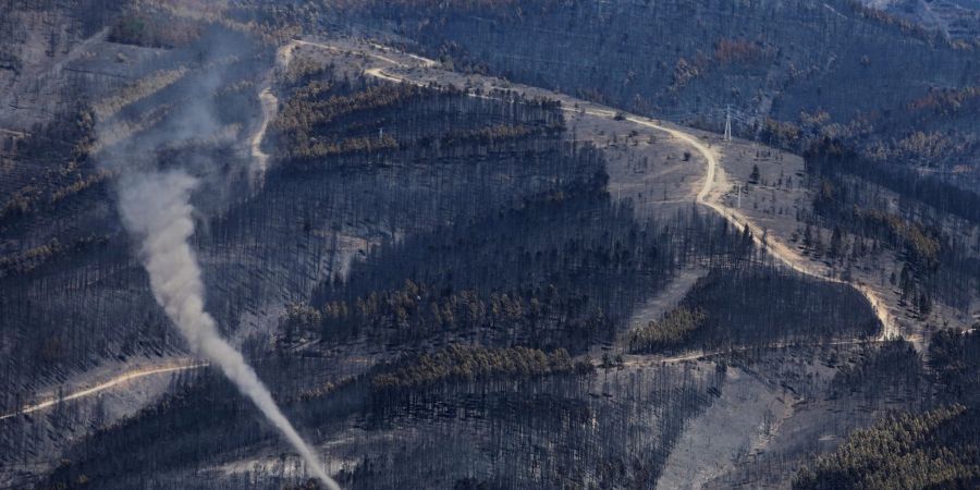 Eine Rauchwolke von einem Waldbrand steigt im Naturpark Serra da Estrela in Zentralportugal auf.