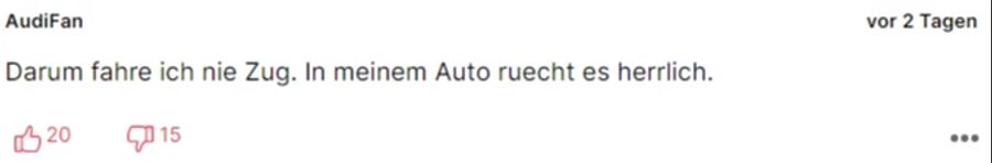 «AudiFan» hat keinen Grund, sich über Gestank zu beschweren: In seinem Auto rieche es «herrlich».