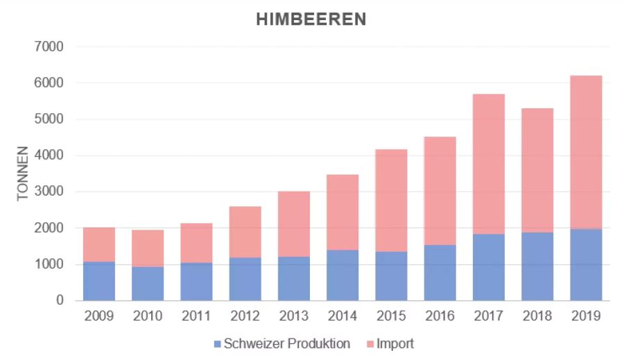 Auch die Nachfrage nach Himbeeren kann nur dank ausländischen Früchten gedeckt werden.