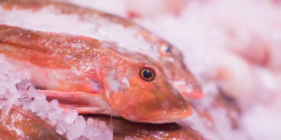 20,5 Kilogramm Fisch werden weltweit pro Kopf und Jahr verzehrt. Foto: Rolf Vennenbernd/dpa