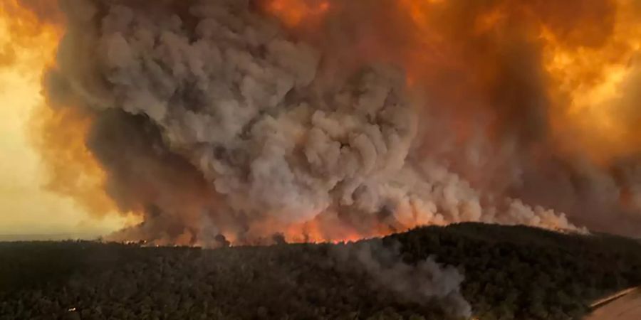 Buschbrände in Australien