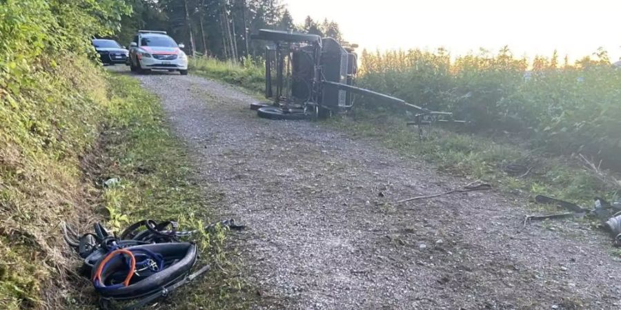 Die von vier Pferden gezogene Kutsche kippte auf einem Waldweg in Brittnau AG um. Passagiere wurden aus ihren Sitzen geschleudert.