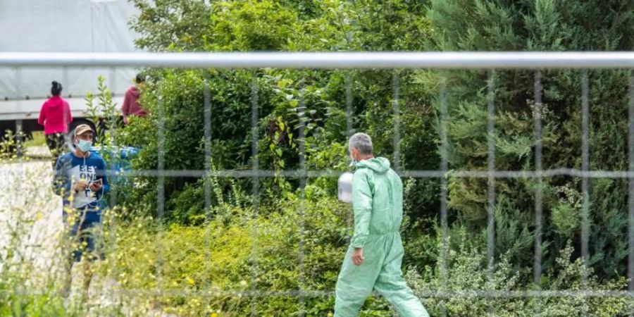 Ein Mann in Schutzanzug auf dem Gelände des betroffenen Bauernhofs. Foto: Armin Weigel/dpa