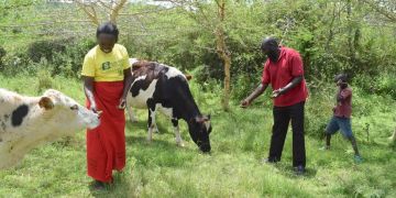 Menschen auf Feld World Vision