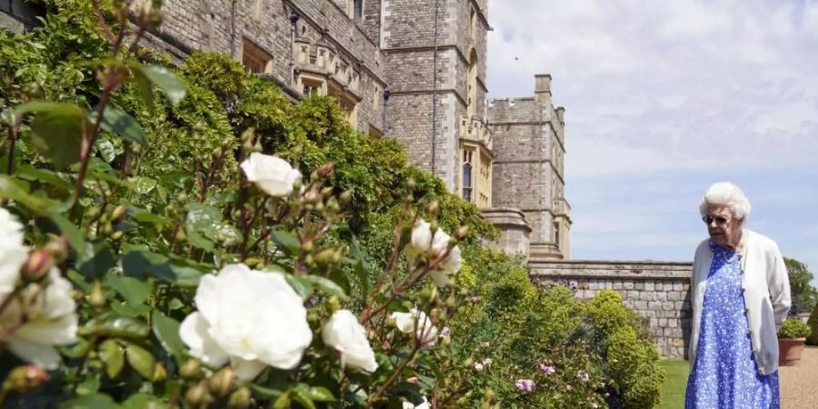 Die Queen erfreut sich an den Rosen auf Schloss Windsor. Foto: Steve Parsons/PA Media/dpa