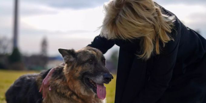 US-Präsident Joe Biden und seine Frau Jill trauern um den Tod ihres Hundes Champ. (Archivbild) US-Präsident Joe Biden und seine Frau Jill trauern um den Tod ihres Hundes Champ. (Archivbild)