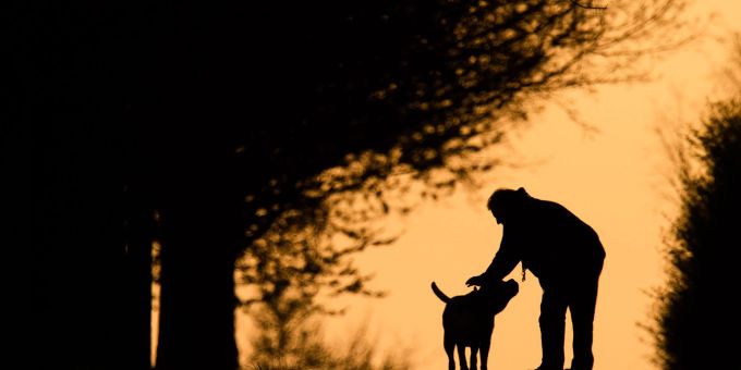 Hundebesitzer wissen, dass die Nähe ihres Haustiers Balsam für die Seele sein kann. Kann ein Plüschtier ähnlich wirken? Hundebesitzer wissen, dass die Nähe ihres Haustiers Balsam für die Seele sein kann. Kann ein Plüschtier ähnlich wirken?