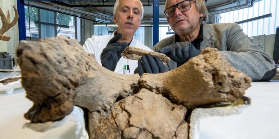 In den zurückliegenden zwei Jahren konnten bereits zahlreiche Rätsel um das Grab der Schamanin gelöst werden.