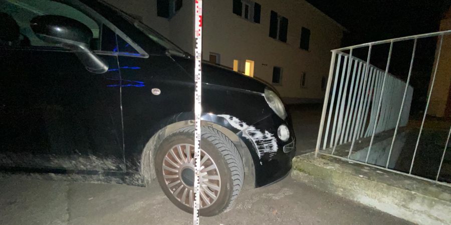 Die Autofahrerin war alkoholisiert.