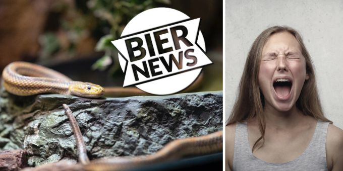 Neue Studie - Schlangen können Menschen-Schreie hören