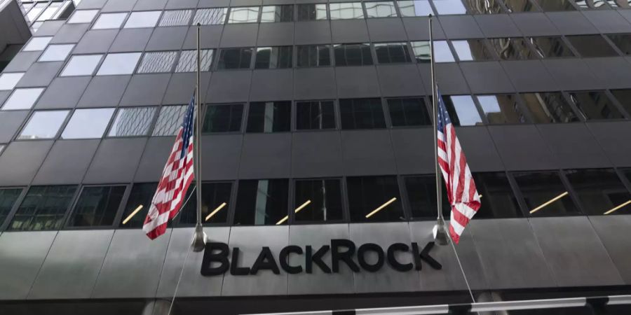 Klimaschutz Fink blackrock