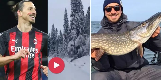 Hobby-Fischer - Ibrahimovic kauft sich Wald für 3 Millionen Franken!