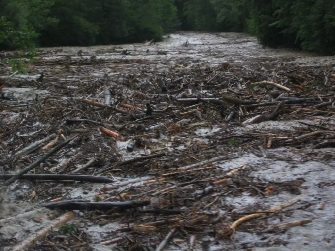 Ein Holzteppich auf der Zulg Hochwasserschutz Steffisburg