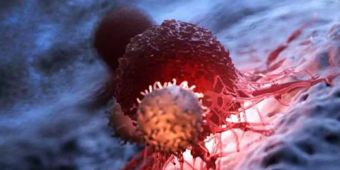 Tumore bestehen aus verschiedenen Zelltypen. tumor