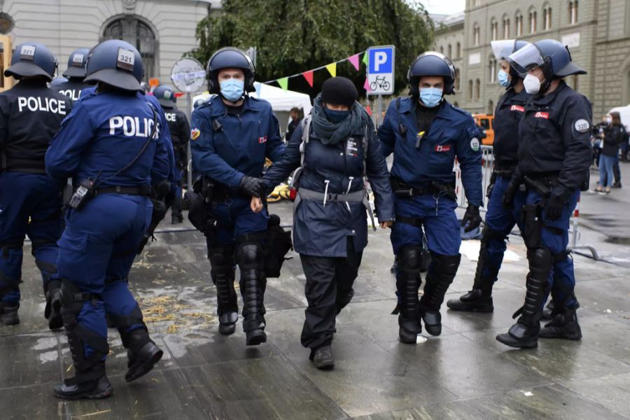 Etliche Aktivisten wurden von der Polizei abgeführt, es hagelte über 80 Anzeigen.