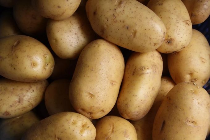 Rohe Kartoffeln lassen sich im Tiefkühler nicht gut lagern. Kartoffeln