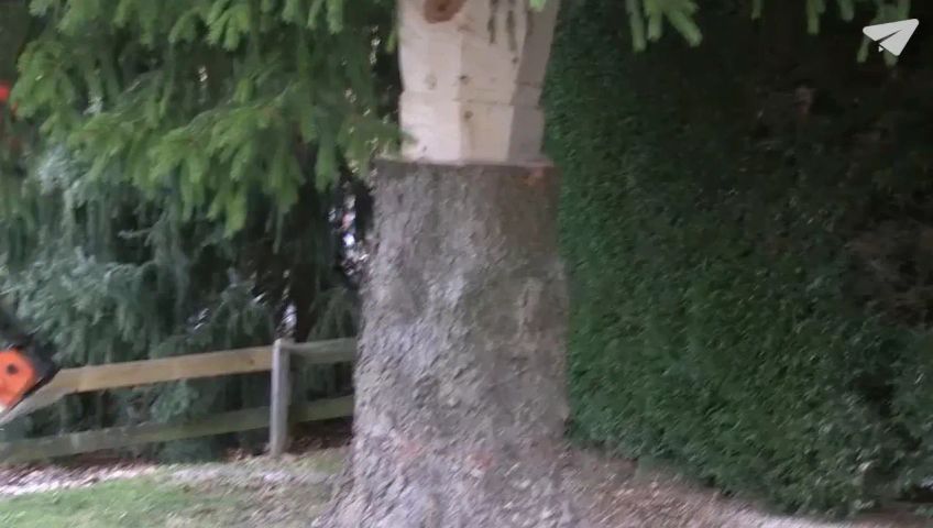 be-weihnachtsbaum