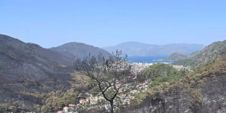 In der bei Touristen beliebten Region Marmaris hat das Feuer ganze Landstriche verbrannt zurückgelassen. Foto: Anne Pollmann/dpa